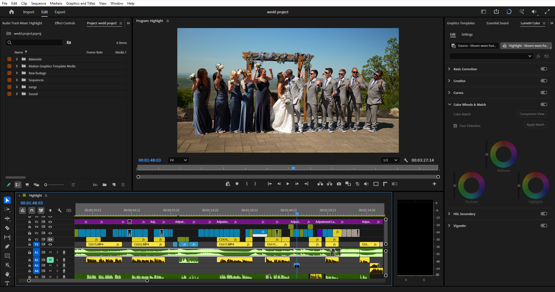 multicultural wedding video editing