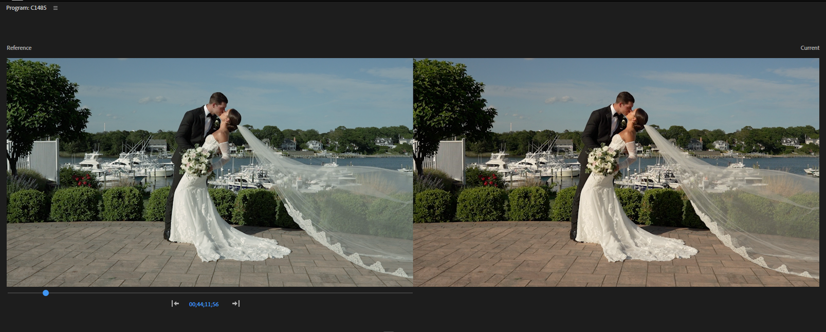 professional wedding video editing value